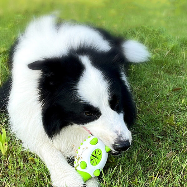Pet Dog Toy Interactive TPR Leaking Food Toys For Small Large Dogs Cat Chewing Toys Pet Tooth Cleaning Indestructible Puppy Toys - Image 7